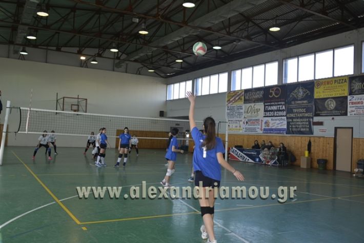 volley_1o-alexandreias-melikis2018 (25)